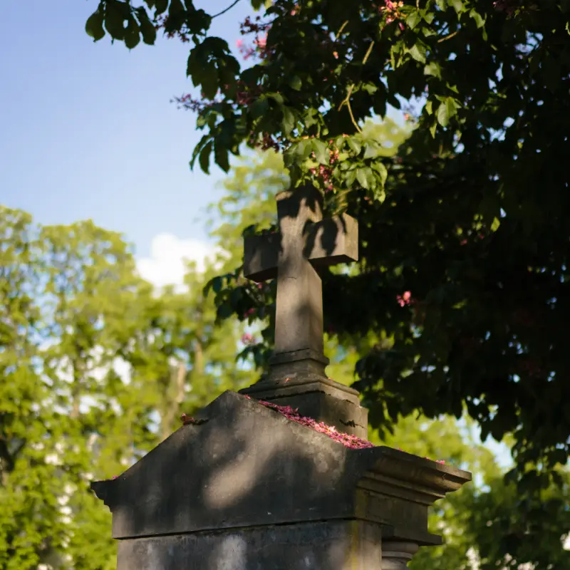 Monument ancien en grès, corniche moulurée et croix en pierre, sous un marronnier en fleurs