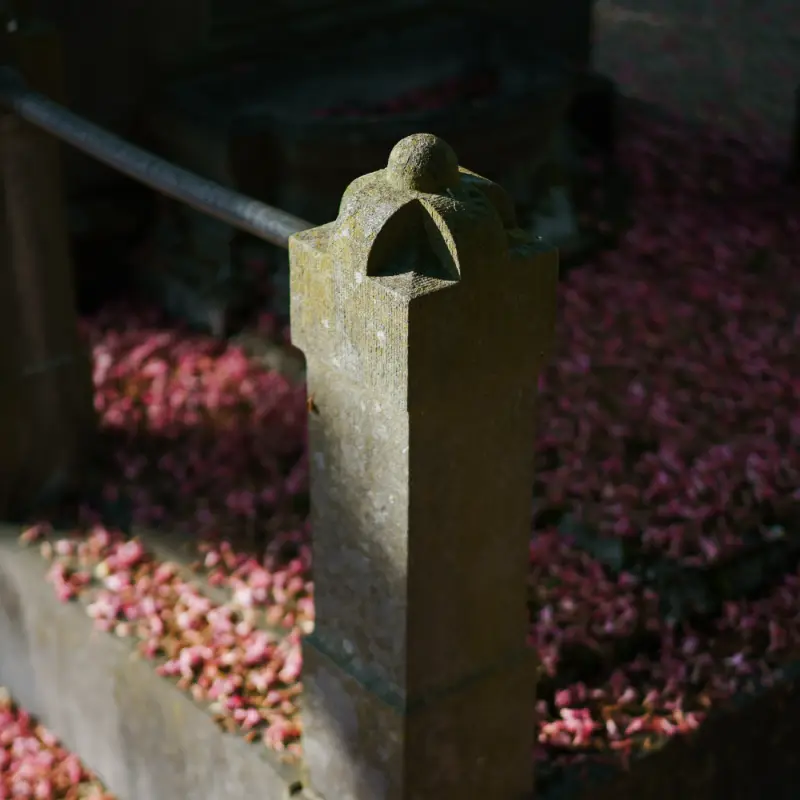 Poteau en pierre sculpté d'un entourage de tombe, chaîne en fer, sol couvert de pétales de marronnier